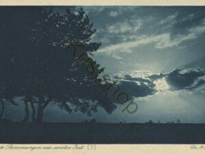 Arthur Tauer - Verlag Zwingenberg [KRST008-3484