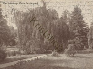 Bad Meinberg - Partie im Kurpark [KRST008-3539
