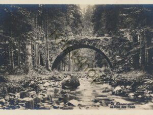 Gerardmer - La Pont des Fées [KRST008-3588
