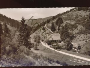 Im schönen Schwarzwald [KRST008-3666