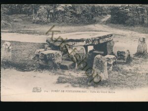 Forêt de Fontainebleau - Table du Grand MaÃ®tre [KRST008-3751