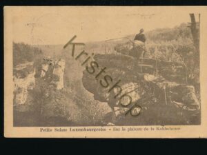 Petit Suisse Luxembourgeoise - Sur le plateau [KRST008-3849