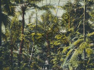 Frankfurt a M - Palmenhaus von der Terasse aus gesehen [KRST008-4011