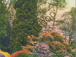 Villa Carlotta [KRST008-4067