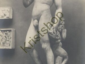 Firenze - Bacco - Michelangelo [KRST008-4075