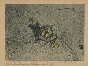 Berlin-Lichterfelde - Naturschutz Verlag [KRST008-4206