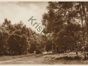 The Common - Gerrards Cross [KRST008-4344