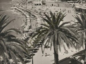 Saint-Raphael - La Plage et les Palmiers [KRST008-4435