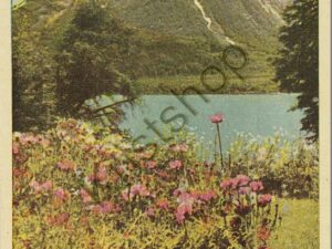 Cerro Bonete [KRST008-4446