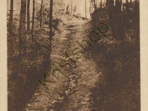 Weg ins Philosofental [KRST008-4521