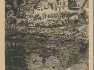 Am Gänsesee - Serie: Wimpfen a Neckar [KRST008-4529