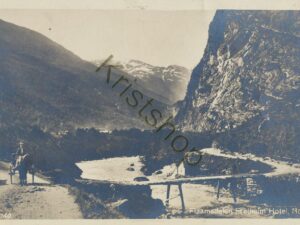 Flaamsdalen Fretheim Hotel  [KRST008-4990
