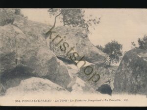 Fontainebleau - La Forêt [KRST008-5136
