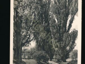 ??? Unknown - Unbekannt - Zoekplaatje ??? [KRST008-5246