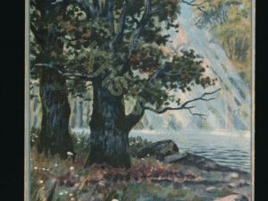 Der deutsche Wald [KRST008-5262
