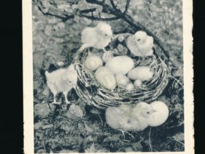 Fröhliche Osten [KRST008-5264