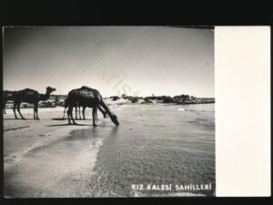 Kiz Kalesi Sahilleri [KRST008-5370