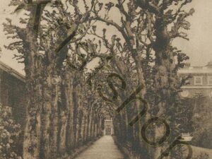 Hampton Court place [KRST008-5524