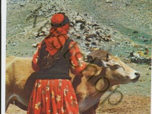 Turkey - Asirlarin Folklore [KRST008-5721