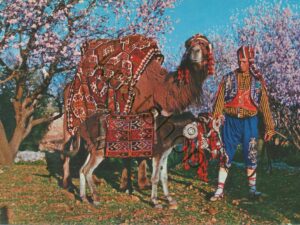 Turkey - Camel in Alanya [KRST008-5728