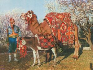 Turkey - Camel in Alanya [KRST008-5729