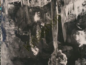 Jardin Exotique de Monaco - Les Grottes [KRST008-5879