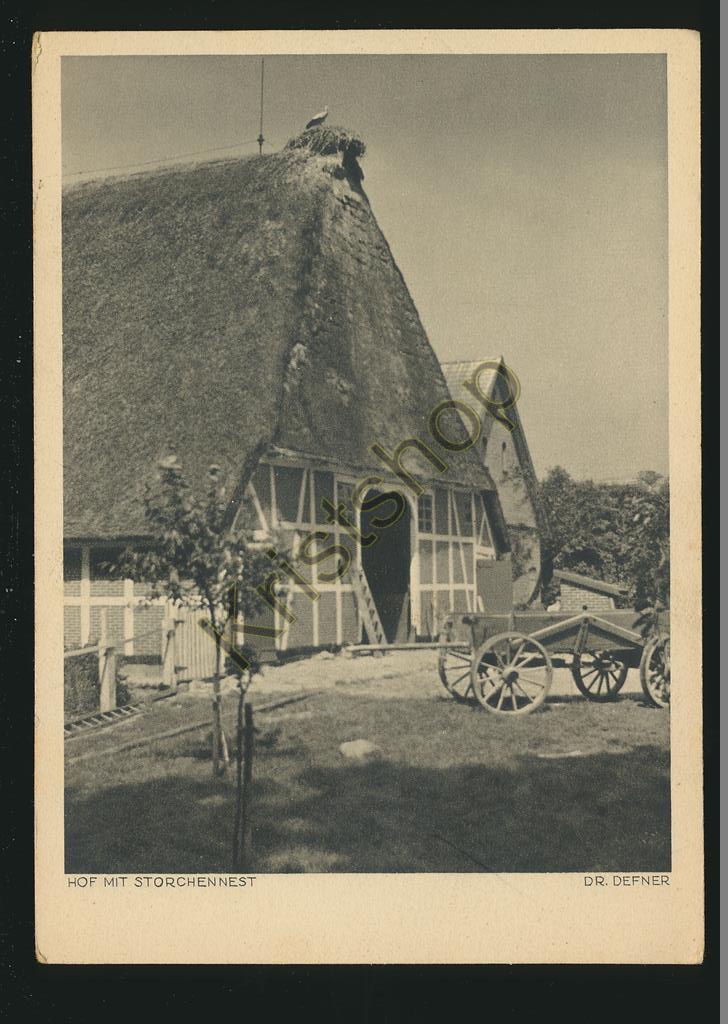 KRST008-5925_0.jpg Hof mit Storchennest nach Dr Defner [KRST008-5925