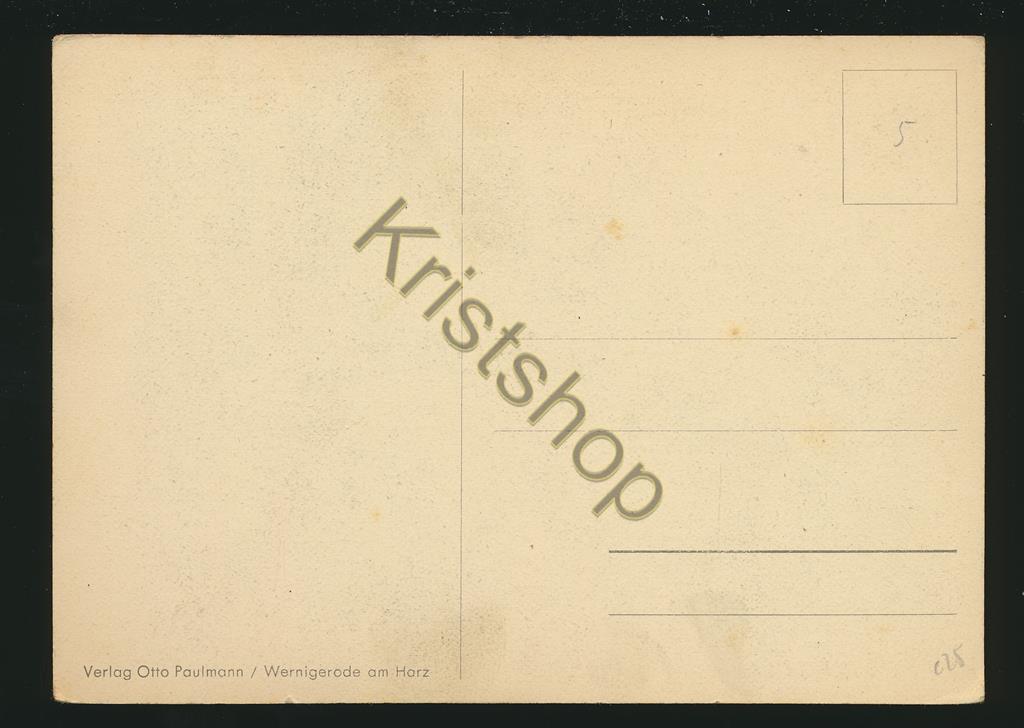 KRST008-5925_1.jpg Hof mit Storchennest nach Dr Defner [KRST008-5925 - Afbeelding 2