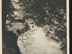 Dorfbach [KRST008-5930