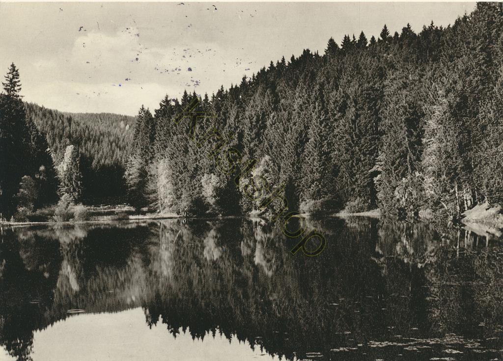 KRST008-6026_0.jpg Hohegeiss-Hochharz - Neuer teich [KRST008-6026