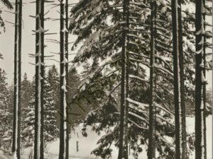 Viel Glück im neuen Jahr [KRST008-6120