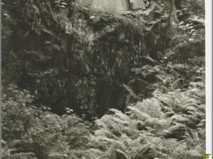 Edv Og Nina Grieg grav - Troldhaugen [KRST008-6663