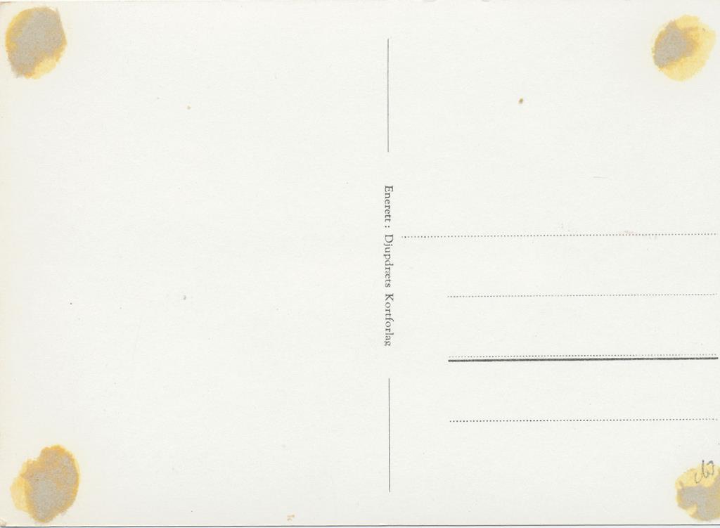 KRST008-6663_1.jpg Edv Og Nina Grieg grav - Troldhaugen [KRST008-6663 - Afbeelding 2