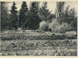 Gütersloh (mit Mangel) [KRST008-7355