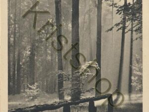 Goldene Sonne -  [KRST008-7469