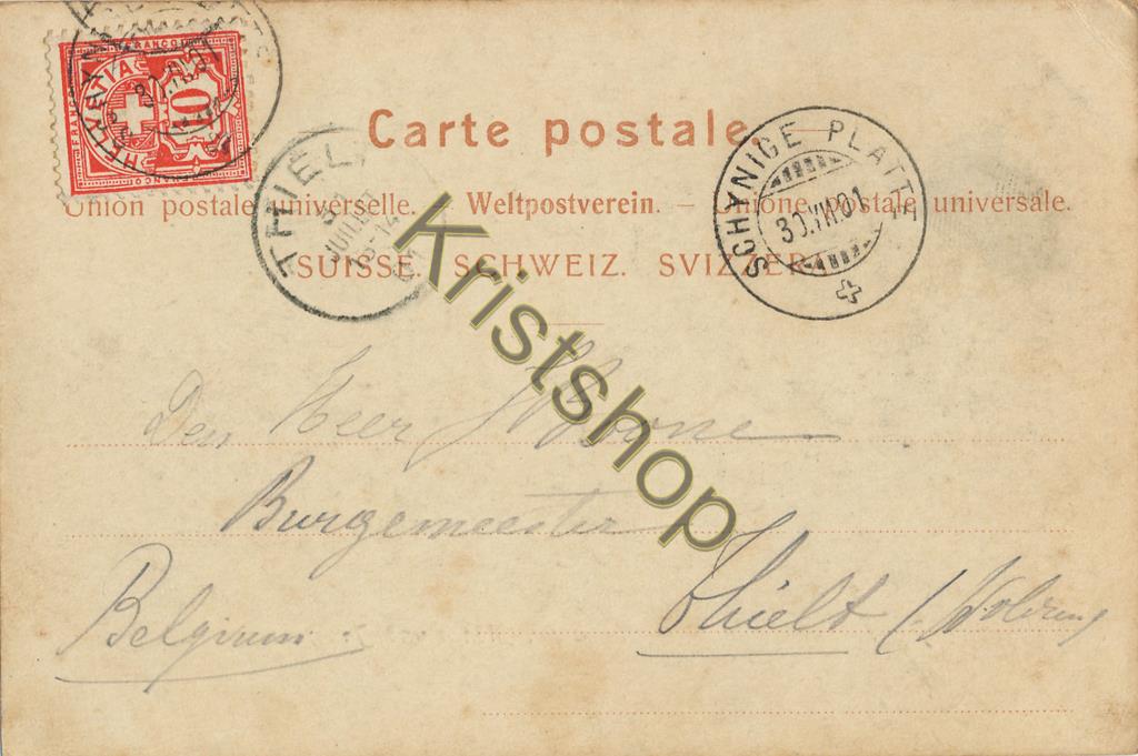 KRST008-7751_1.jpg Schynige Platte - Eiger, Mönch und Jungfrau - 1901 [KRST008-7751 - Afbeelding 2