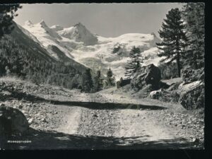 Rosegruppe [KRST008-7819