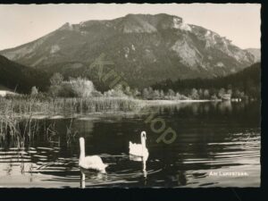Am Lunzersee [KRST008-7821