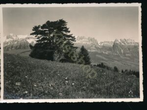 Kurhaus Buchserberg - Blick auf Alpstein [KRST008-7909