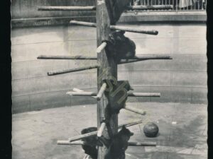 Basel - Bärengrabe [KRST008-7920