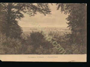 Zeddamn - Montferland - Panorama [009-0015