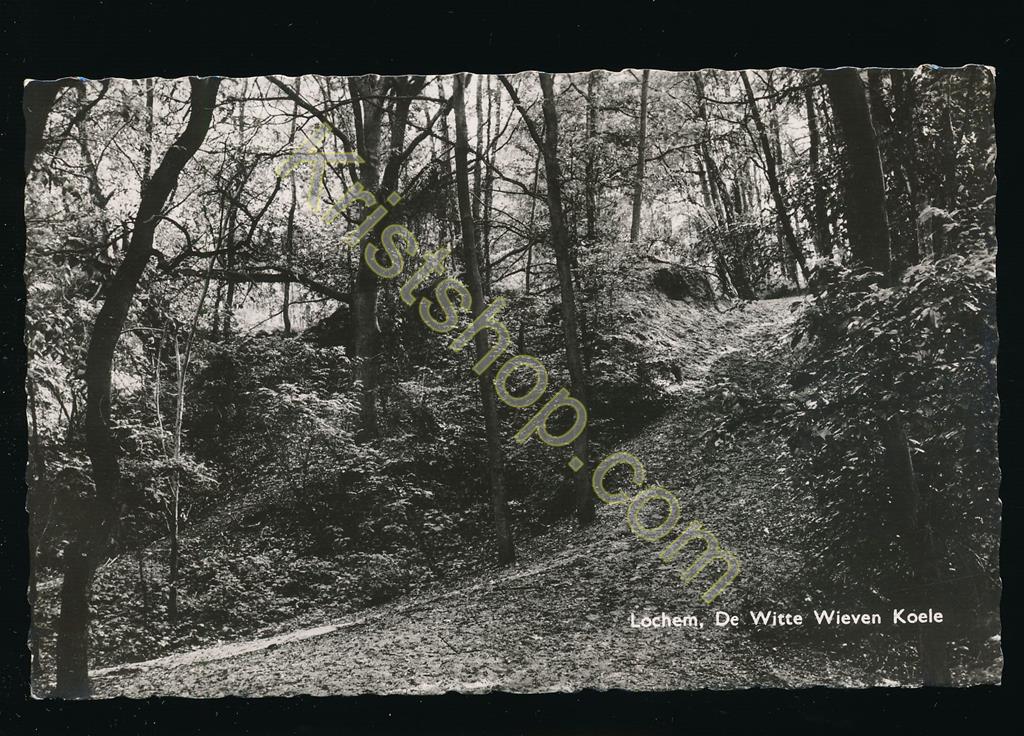 KRST009-0038_0.jpg Lochem - De Witte Wieven Koele [009-0038
