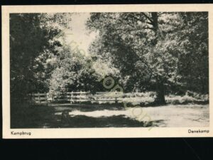 Denekamp - Kampbrug [009-0039