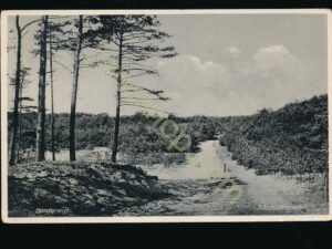 Harderwijk - Stadsdennen [009-0055