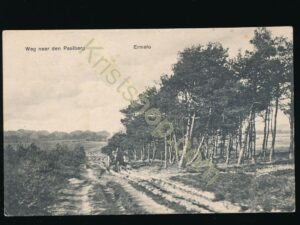 Ermelo - Weg naar de Paalberg [009-0056
