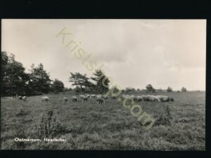 Ootmarsum - Haarlerhei [009-0086