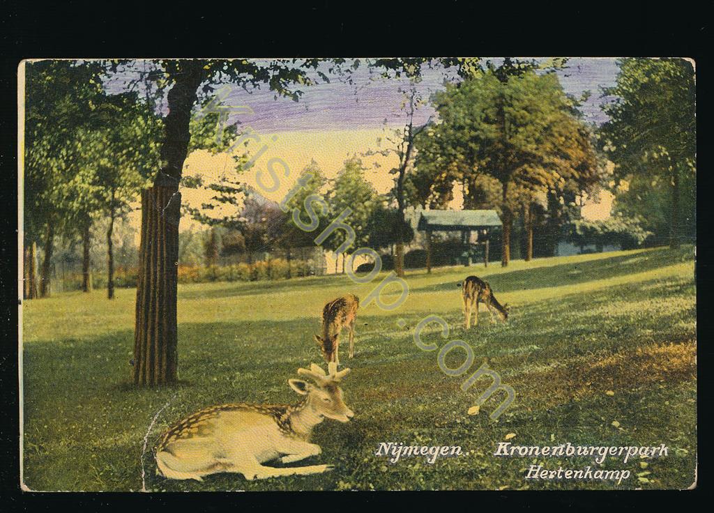 Nijmegen - Kronenburgerpark - Hertenkamp [009-0098