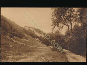 Schoorl - Klein Zwisterland [009-0150
