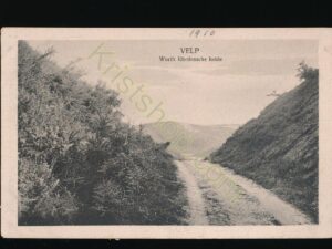 Velp [009-0164