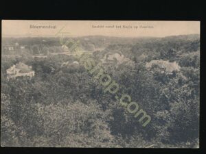 Bloemendaal - Gezicht vanaf het Kopje op Haarlem [009-0168